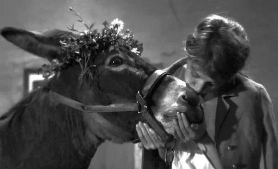 Au-Hasard-Balthazar-